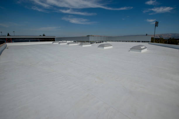 Best Roof Coating and Sealing  in Henderson, TX