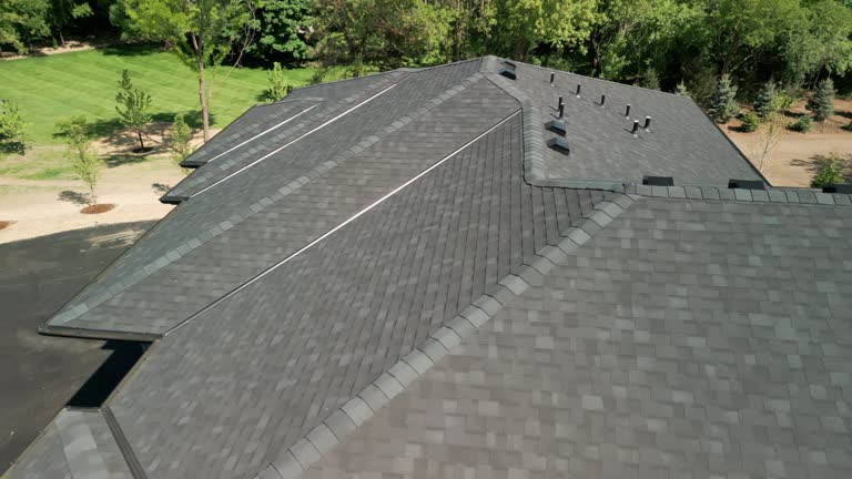 Best Solar Panel Roofing Installation  in Henderson, TX