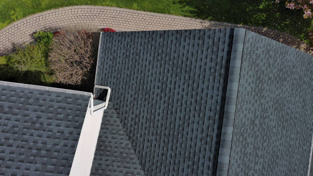 Best Roof Moss and Algae Removal  in Henderson, TX